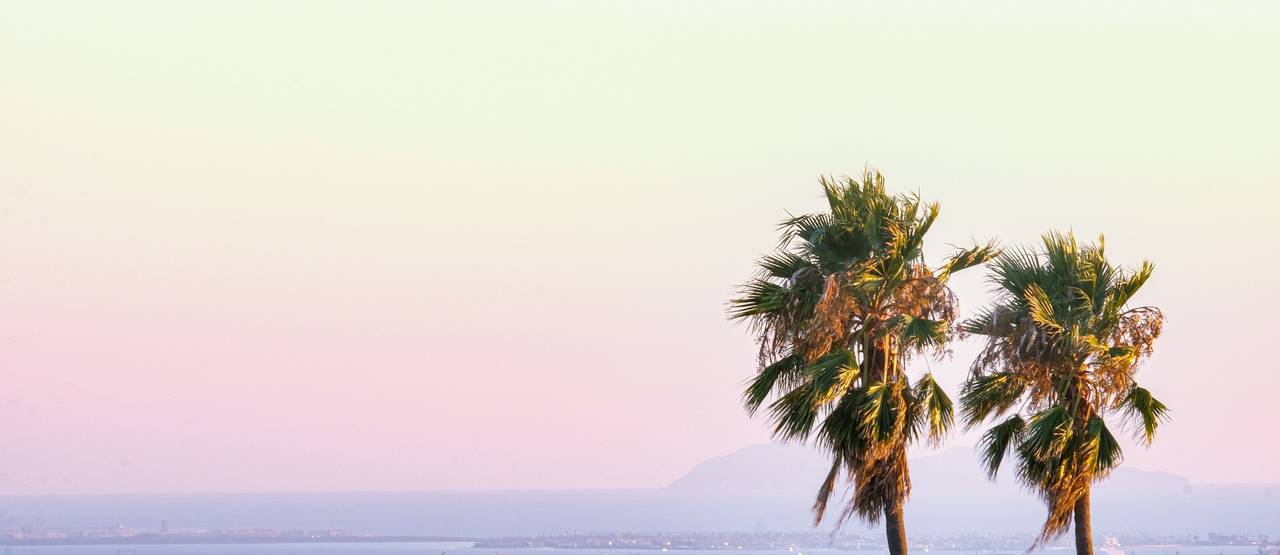 Two palm trees against a pastel sunset sky with distant mountains