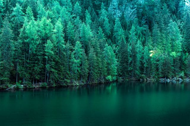 Dense evergreen forest reflecting in a calm turquoise lake